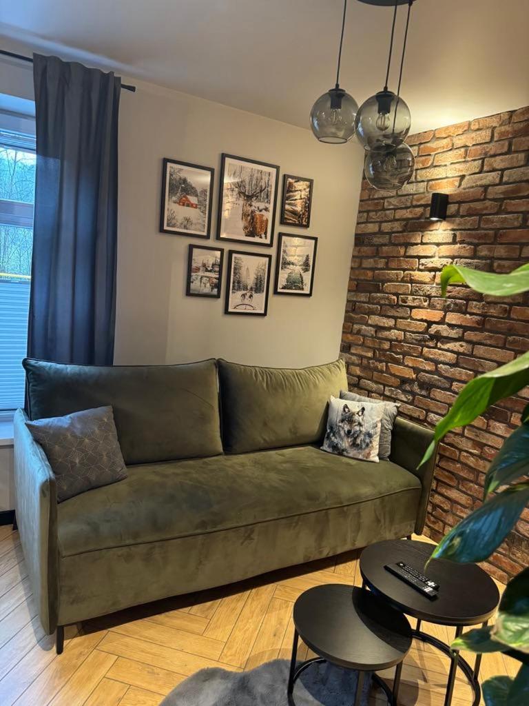 Apartamenty Szary Wilk - Klimatyczne Apartamenty Dla 2 Osob - Blisko Centrum -Bezplatny Parking Закопане Екстер'єр фото