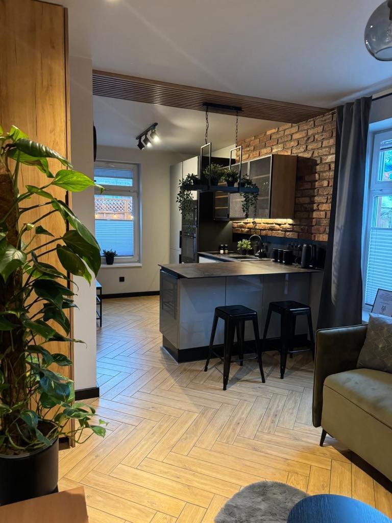 Apartamenty Szary Wilk - Klimatyczne Apartamenty Dla 2 Osob - Blisko Centrum -Bezplatny Parking Закопане Екстер'єр фото