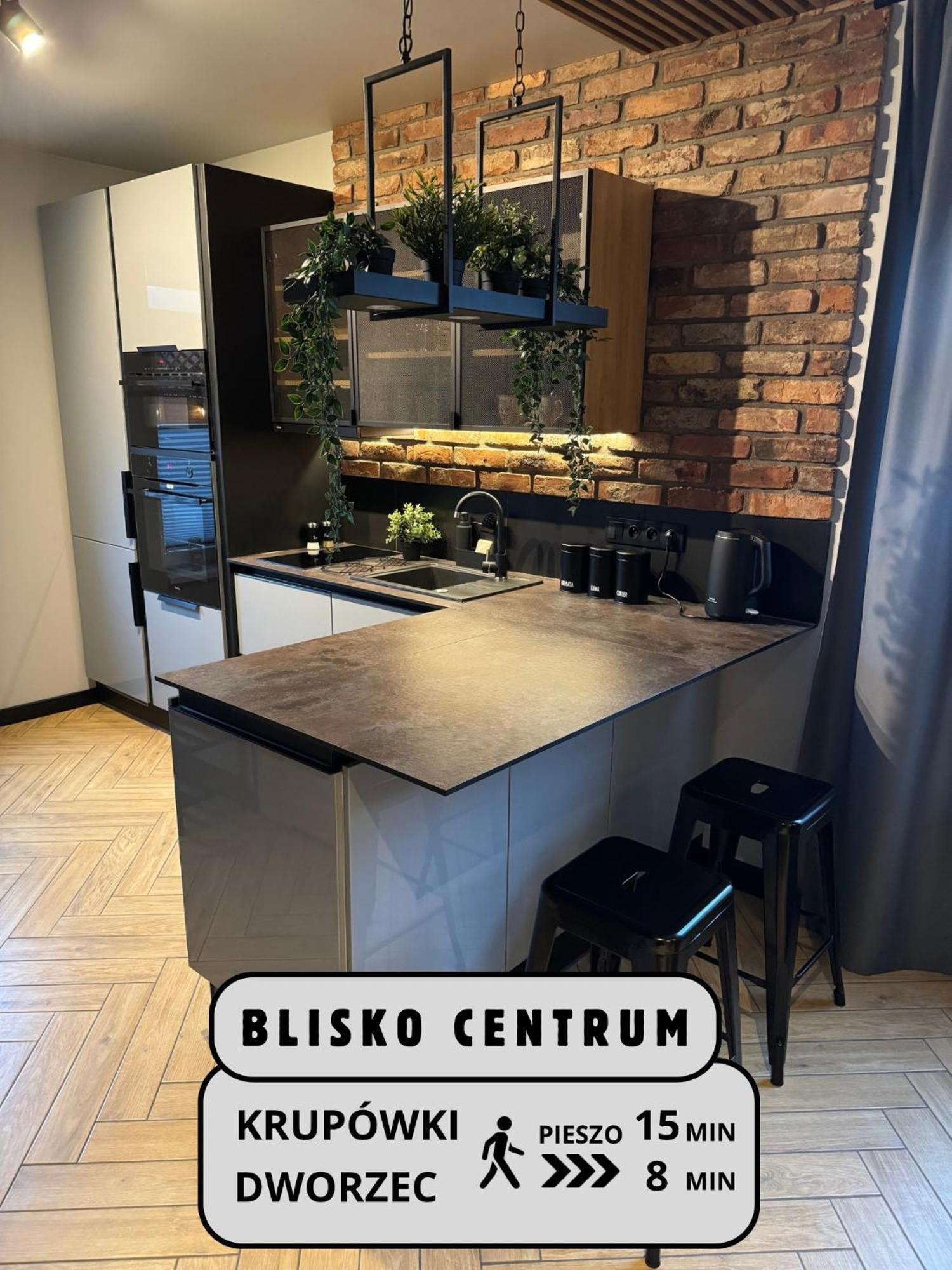 Apartamenty Szary Wilk - Klimatyczne Apartamenty Dla 2 Osob - Blisko Centrum -Bezplatny Parking Закопане Екстер'єр фото